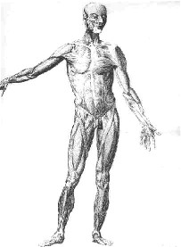 Provino d'ingresso corso - matita su foglio carta