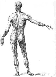 Provino d'ingresso corso - matita su foglio carta