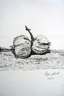 Melograno in scala Santa da Pino Ferfoglia 2003