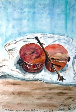 Melograno in scala Santa da Pino Ferfoglia 2003